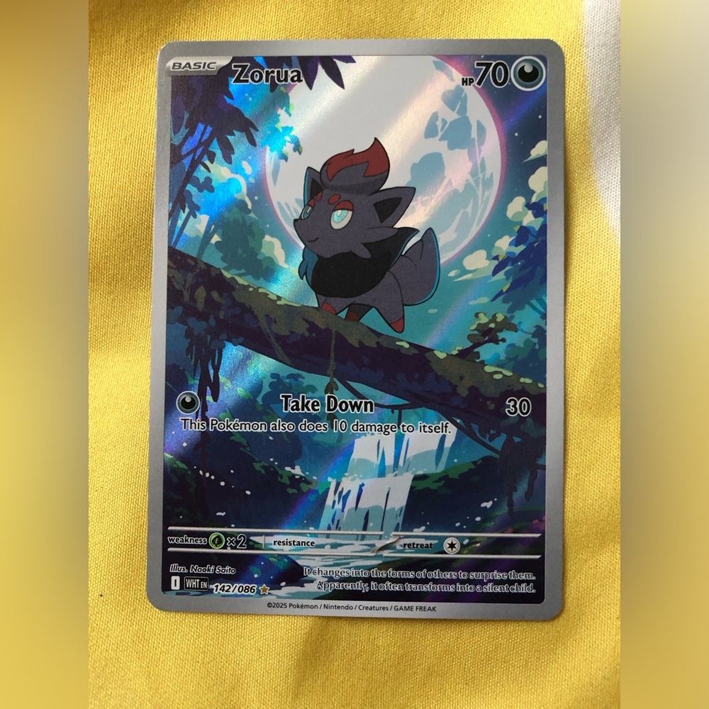 Zorua Illustration Rare